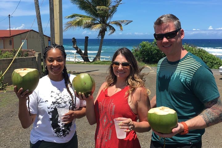 North West Adventure Puerto Rico — Full-Day West Coast Explorer from Arecibo to Aguadilla