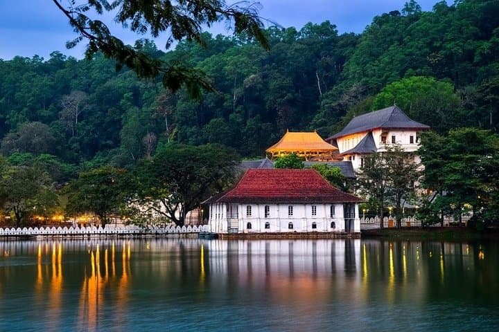 Kandy City Day Tour: Tea Estates, Ancient Temples & Evening Ritual