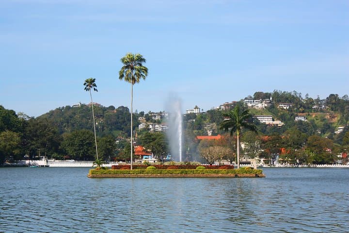 Kandy City Day Tour: Tea Estates, Ancient Temples & Evening Ritual photo 2