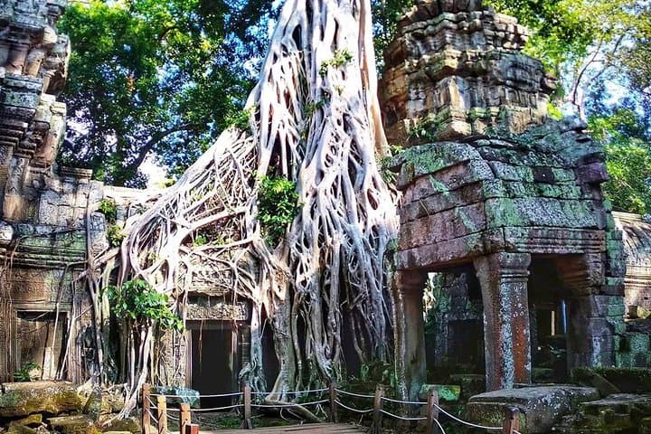 Sunrise at Angkor Wat: Private Full-Day Tour to Ta Prohm, Bayon & Angkor Thom photo 6