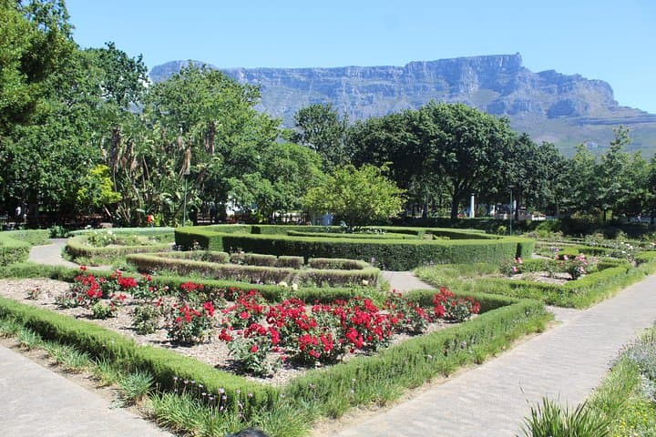 Private Cape Town City Tour: Table Mountain Cable Car & City Highlights photo 6