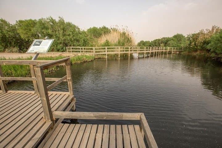 Desert Castles and Azraq Wetland Reserve: Full-Day Private Tour from Amman photo 5