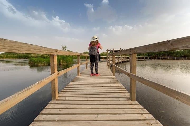 Desert Castles and Azraq Wetland Reserve: Full-Day Private Tour from Amman photo 3