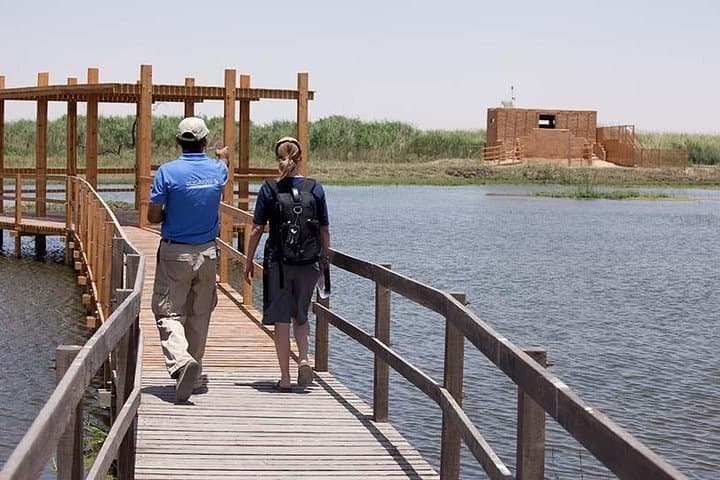 Desert Castles and Azraq Wetland Reserve: Full-Day Private Tour from Amman