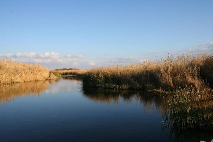 Desert Castles and Azraq Wetland Reserve: Full-Day Private Tour from Amman photo 4