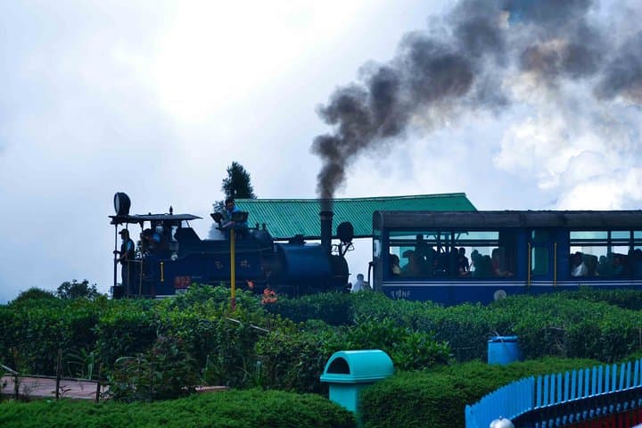 Full-Day Darjeeling Tour: Tiger Hill, Tea Gardens & Monasteries