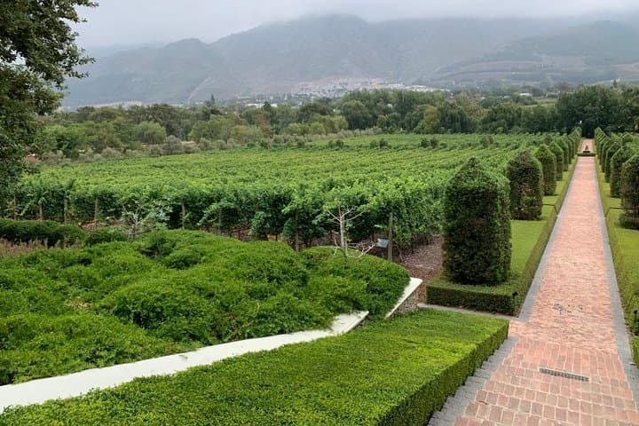 Cape Peninsula to Constantia: Penguins, Chapman's Peak & Full-Day Wine Tasting photo 6