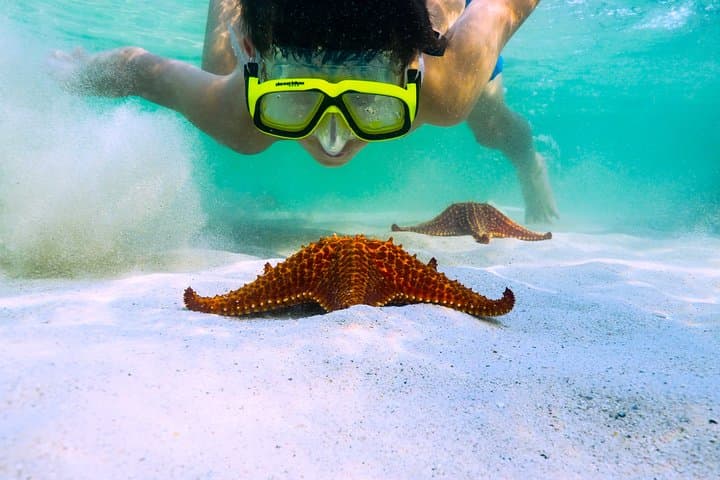 Private Stingray City & BioBay Charter — Grand Cayman Evening Snorkel photo 4