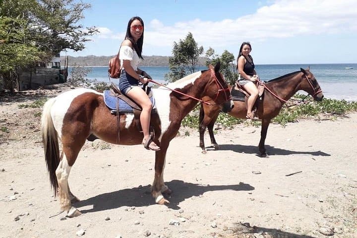 Playa Conchal Horseback Riding — 90-Min Private Beach Tour in Costa Rica