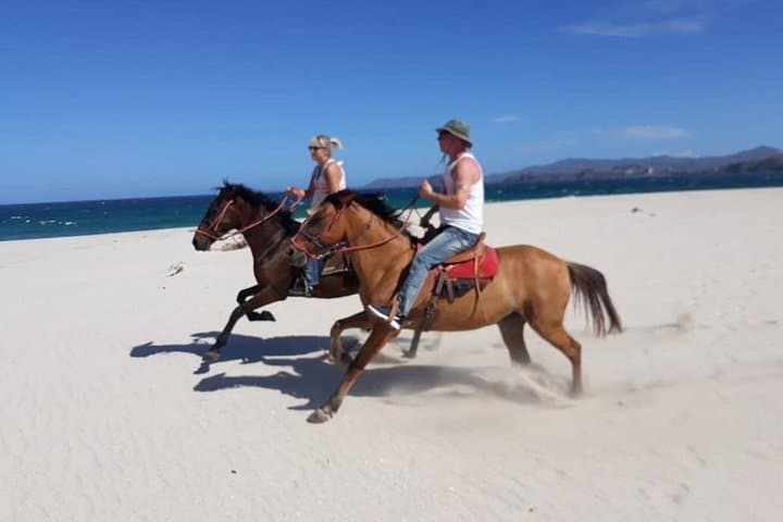 Playa Conchal Horseback Riding — 90-Min Private Beach Tour in Costa Rica photo 3