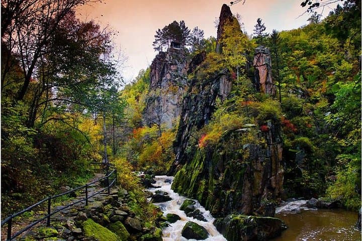 3-Day Yichun Forest Parks Private Tour from Harbin — Tangwanghe & Wuying