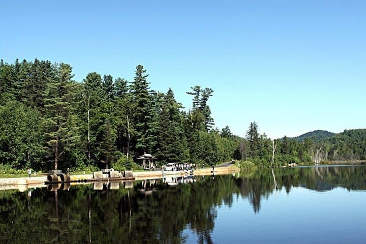 3-Day Yichun Forest Parks Private Tour from Harbin — Tangwanghe & Wuying photo 4