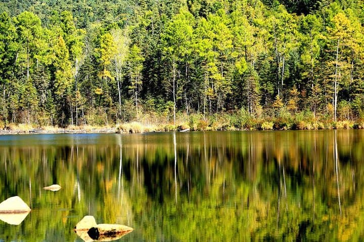 3-Day Yichun Forest Parks Private Tour from Harbin — Tangwanghe & Wuying photo 3