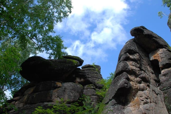 3-Day Yichun Forest Parks Private Tour from Harbin — Tangwanghe & Wuying photo 5