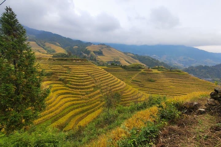 7-Day Private China Tour: Shanghai, Zhangjiajie & Guilin Highlights photo 3