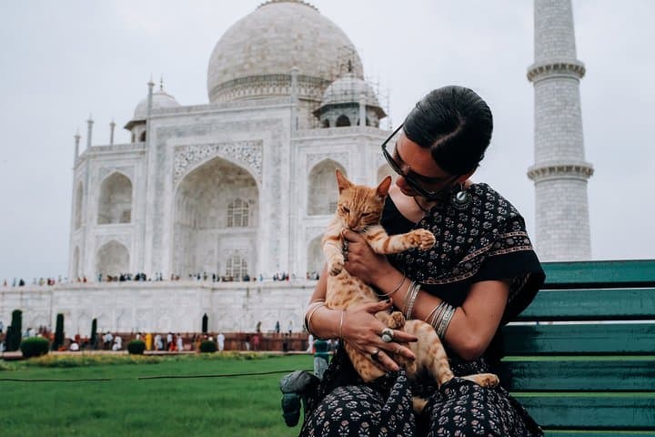 3-Day Delhi and Agra Tour: Taj Mahal, Red Fort & Iconic Delhi Sights photo 2