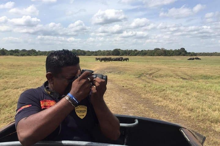 Spotting Leopards: Yala National Park Full-Day Jeep Safari with Lunch photo 1