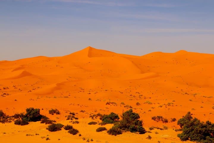 Imperial Cities to Sahara: Private 8-Day Tour from Marrakech photo 6