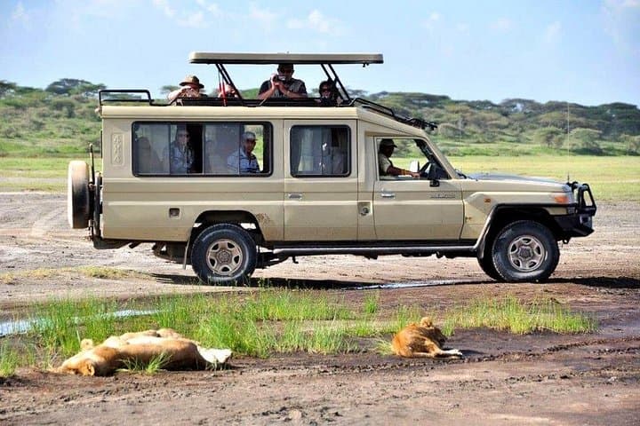 9-Day Taste of Kenya: Big Five Luxury Safari through Tsavo, Amboseli & Maasai Mara photo 6