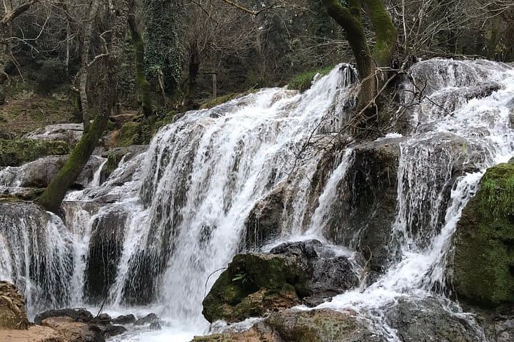 Middle Atlas Cedar Forests & Azrou Day Trip from Fez — Ifrane, Imouzzer & Barbary Apes photo 4