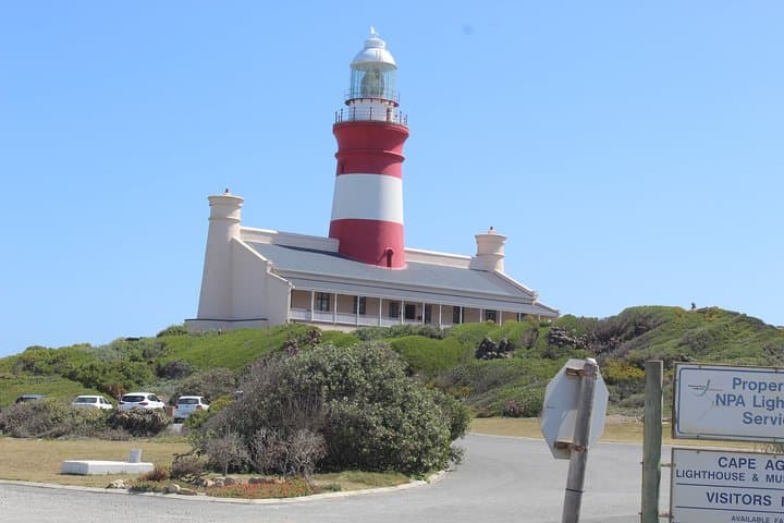 Cape Town to Cape Agulhas Private Transfer — Where the Two Oceans Meet (Full-Day) photo 3
