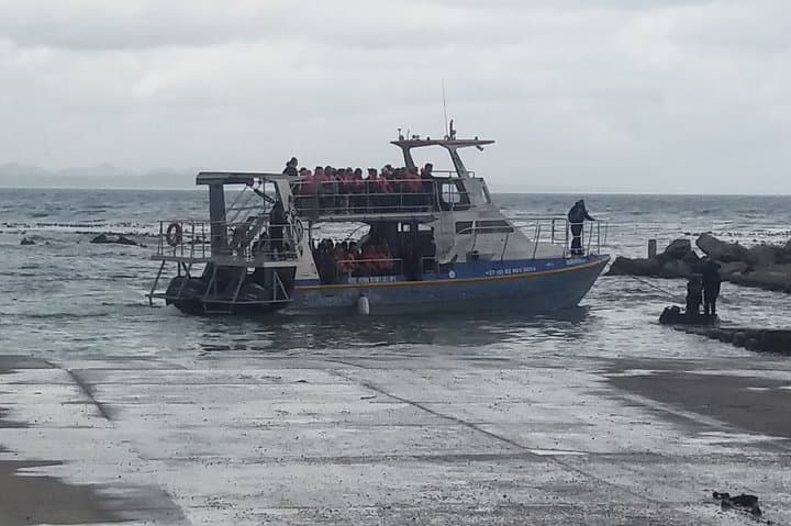 Cape Town to Cape Agulhas Private Transfer — Where the Two Oceans Meet (Full-Day) photo 4