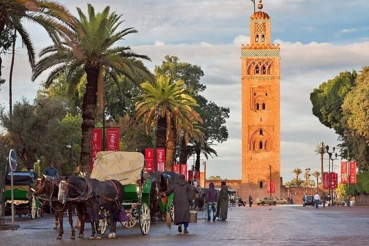 Marrakech Private City Tour: Full-Day Medina, Koutoubia & Bahia Palace
