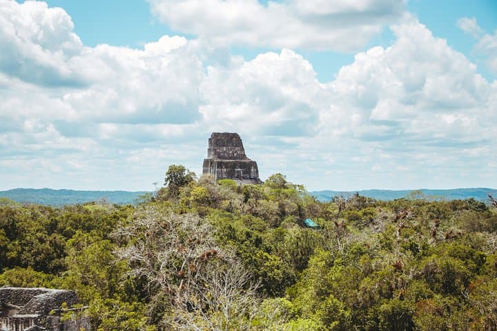 Tikal Day Tour from Belize Border: Explore Mayan Ruins & Jungle Wildlife photo 3