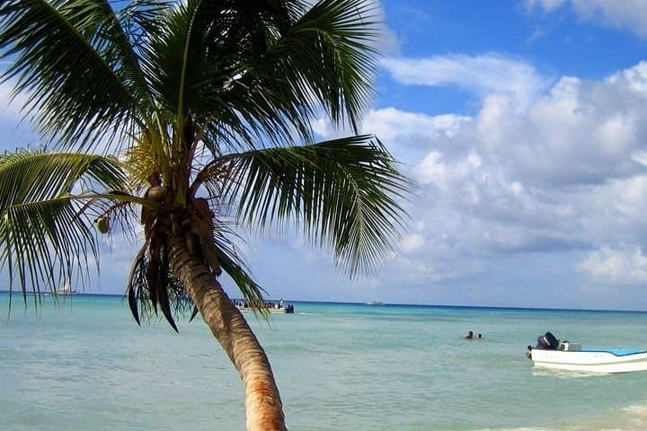 Saona Island Catamaran & Speedboat Tour from Punta Cana — Day Trip to White-Sand Beaches