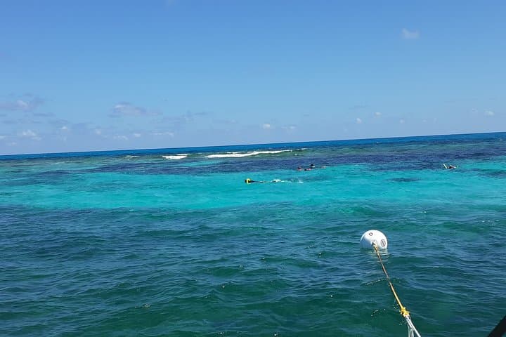 Private Snorkel Tour to John Pennekamp Coral Reef State Park — Key Largo photo 6