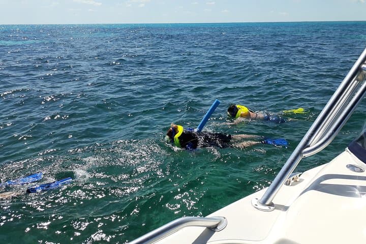 Private Snorkel Tour to John Pennekamp Coral Reef State Park — Key Largo