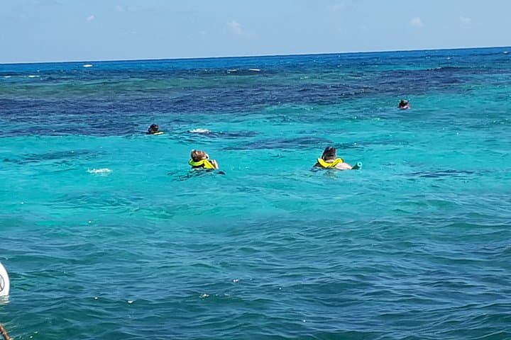 Private Snorkel Tour to John Pennekamp Coral Reef State Park — Key Largo photo 2