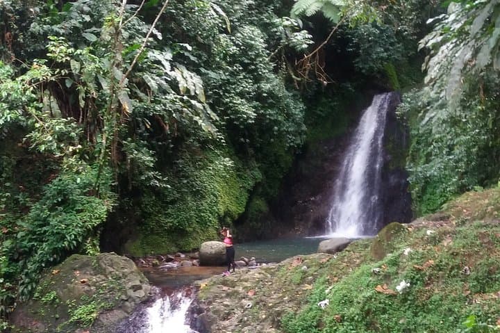 Half-Day Grenada Seven Sisters Waterfall Hike at Grand Etang Nature Center