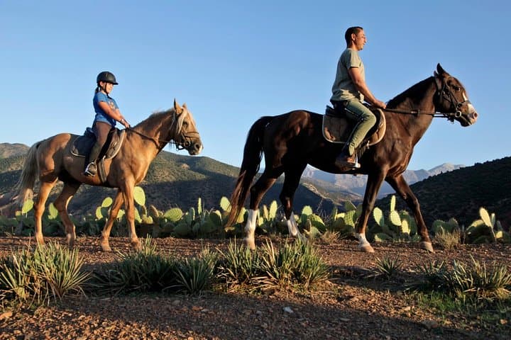 Atlas Mountains Horseback Ride Day Tour from Marrakech photo 3