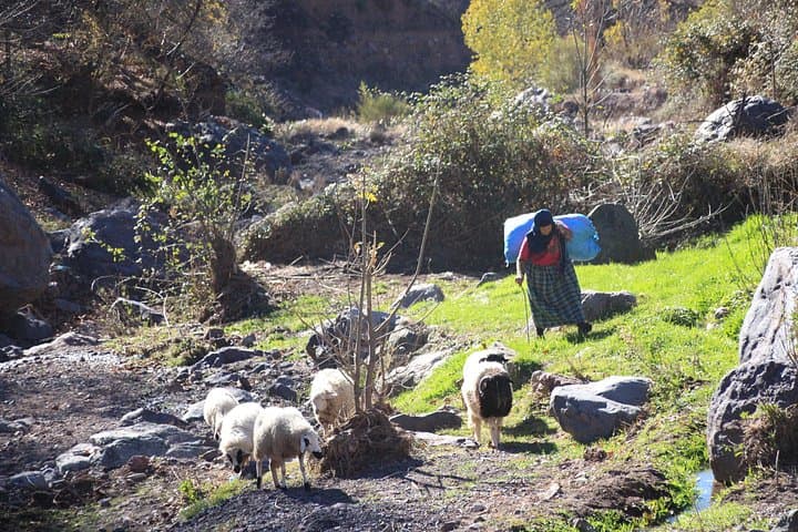 Atlas Mountains & Imlil Valley Day Trip from Marrakech — Hike & Berber Village Visit photo 3