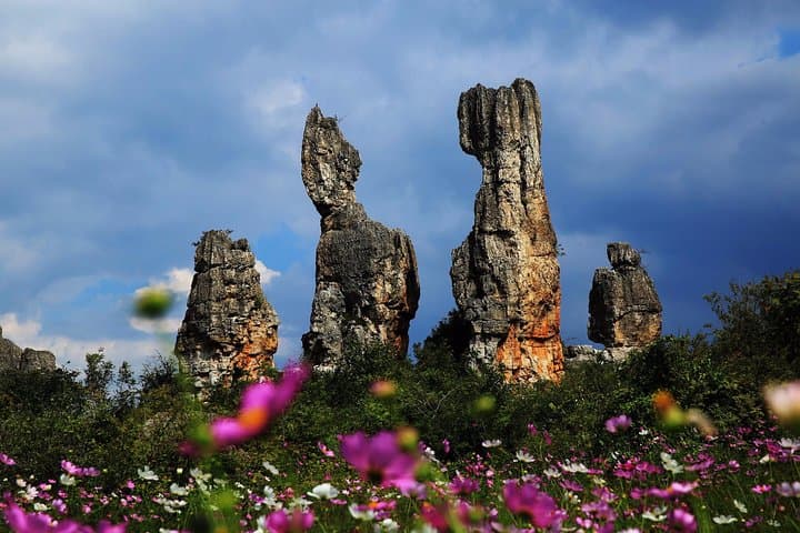 Kunming's Stone Forest, Dianchi Lake & West Hill: Private Day Tour Guide
