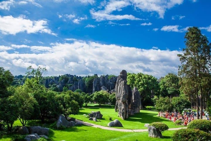 Explore Kunming's Stone Forest & Naigu: A Private Guided Day Tour