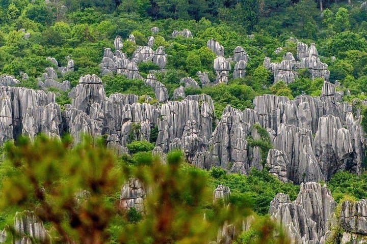 Half-Day Private Tour to Stone Forest (Shilin) from Kunming photo 5