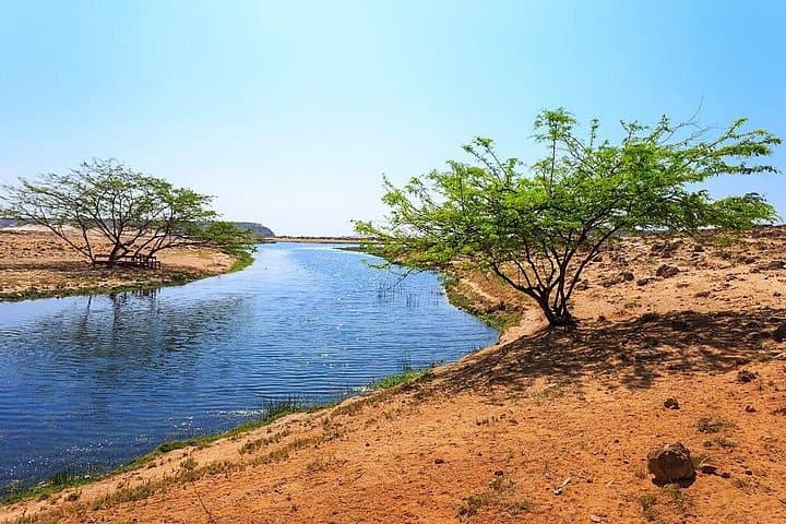 5-Day Private Dhofar Tour: Salalah, Frankincense Trail & Mughsail Beaches photo 4