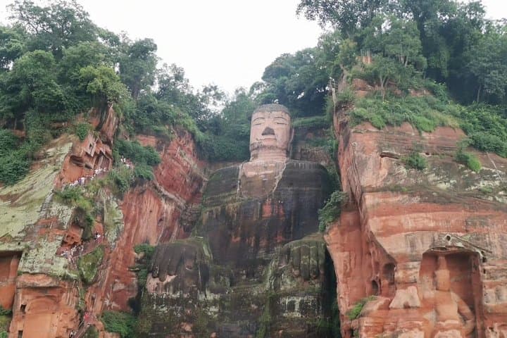 From Morning Pandas to the Giant Buddha: Private Full-Day Tour from Chengdu