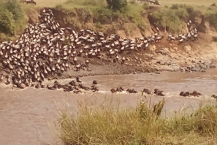 6-Day Safari: Maasai Mara, Lake Nakuru & Hells Gate — From Nairobi