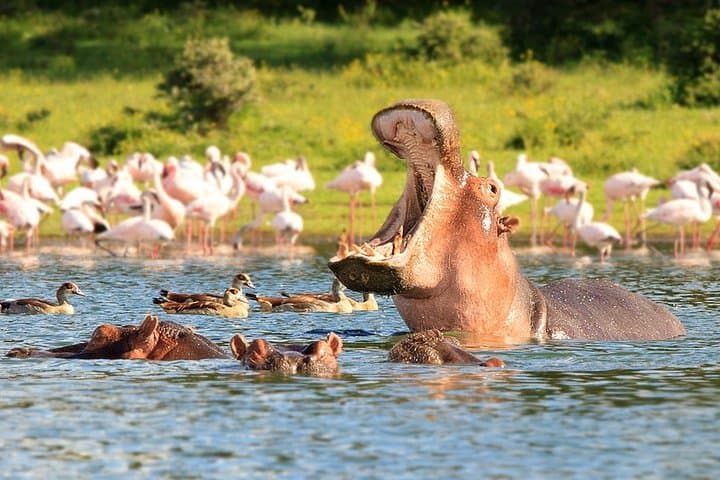 2-Day Guided Safari: Hell's Gate & Lake Naivasha Adventure from Nairobi