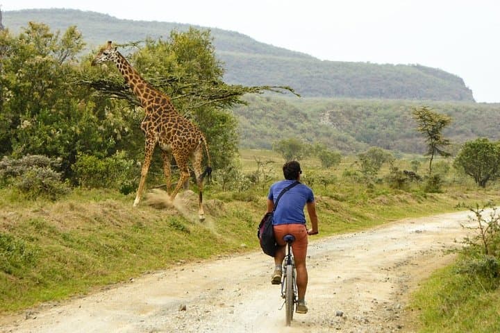 Hell's Gate and Lake Naivasha Full-Day Guided Tour from Nairobi photo 3