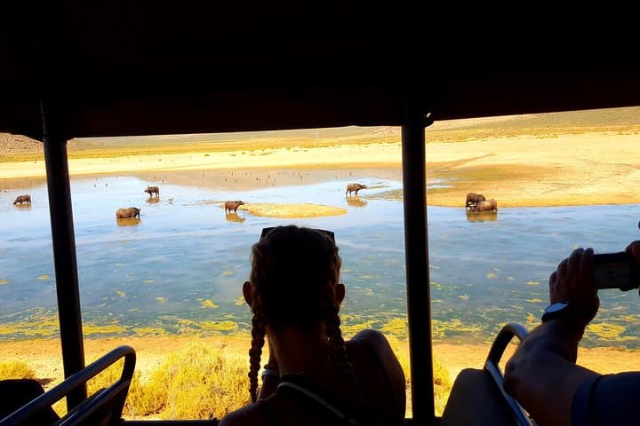 Private Aquila Big 5 Safari from Cape Town — Full-Day Return Transfer photo 4