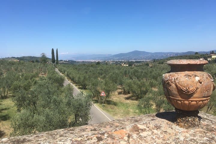 Chianti e-Bike Tour from Florence with Chianti Classico Wine Tasting photo 2