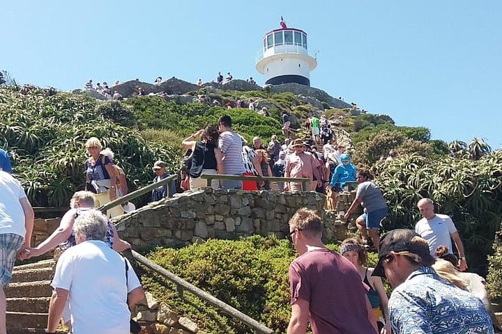 Full-Day Cape Point & Boulders Beach Tour — Chapman's Peak, Penguins & Hout Bay photo 1