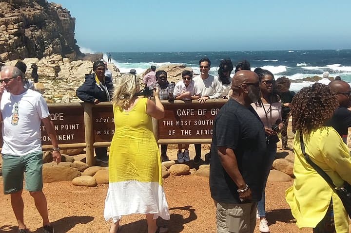 Full-Day Cape Point & Boulders Beach Tour — Chapman's Peak, Penguins & Hout Bay photo 2