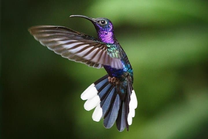 Explore North Costa Rica: 8-Day Family Adventure from Volcanoes to Beaches photo 5