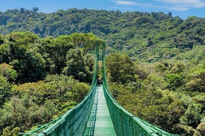 Monteverde Cloud Forest Hanging Bridges & Zipline Day Tour from San José photo 3
