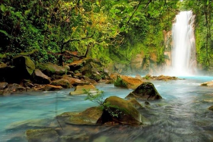 Rio Celeste & Tenorio Volcano Sloth-Watching Day Tour from Guanacaste photo 5
